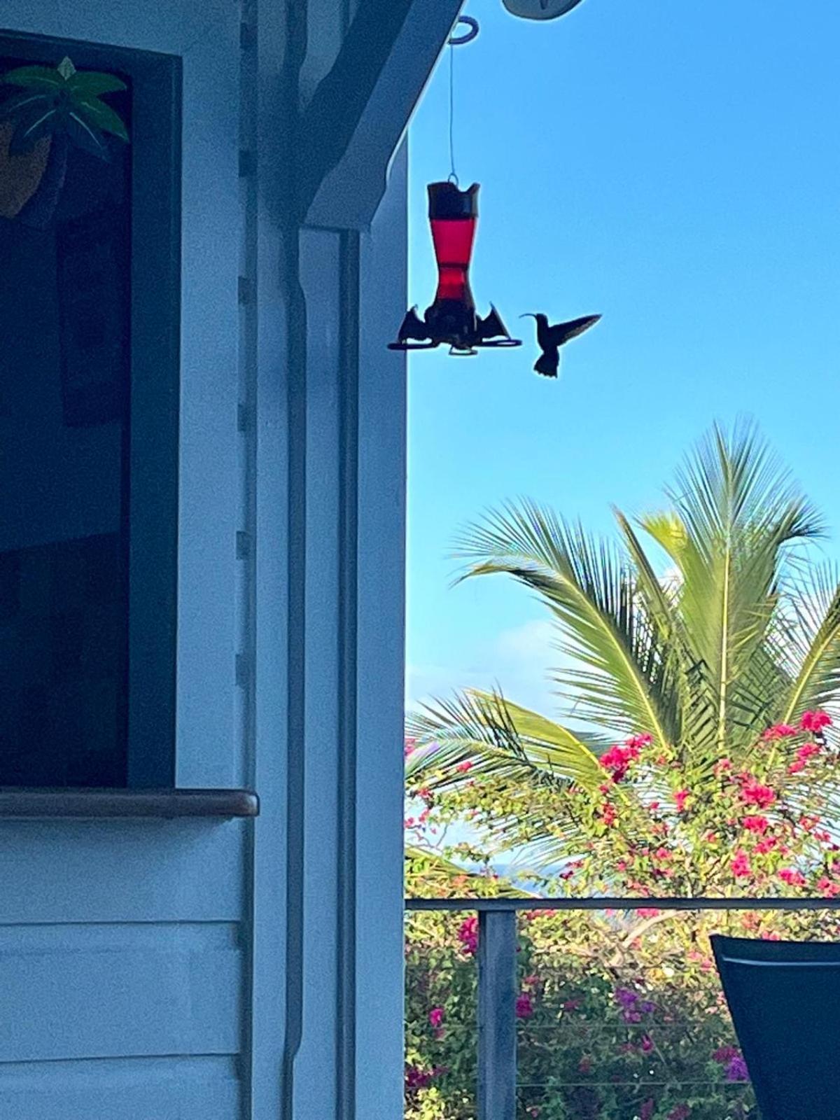 La Villa Kawana A 5 Minutes A Pied De La Plage Les Anses-d'Arlets Ngoại thất bức ảnh